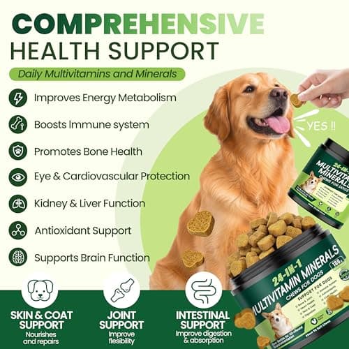 24-in-1 Dog Vitamins and Supplements, Dog Multivitamin Chewable with Chondroitin Probiotics Omega-3 Glucosamine for Dogs Skin Coat Hip and Joint Heart Gut Liver Brain Eye Immune Support, 90 Chews - Thumbnail 2