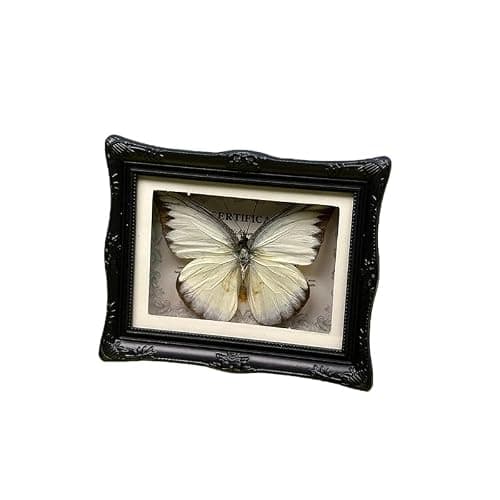 1Pcs Real Butterfly Framed Handmade, Taxidermy Butterfly Shadow Box Collection, Framed Butterfly Taxidermy for Oddities and Curiosities Gifts Tabletop Ornaments (#16-butterfly Specimen+photo Frame) - Thumbnail 3