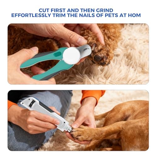 PAPIFEED Pet Nail Grinder with Nail Clipper Kit, 6 Speed Adjustable Dog Nail Trimmer with LED Light, Rechargeable Pet Nail File with Dust Proof & Type-C Charging (White) - Thumbnail 6
