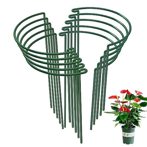WooWellGoGoGo 10-Pack Half Round Snake Plant Support Stakes, Plant Support Ring for Hydrangea, Peony, Dahlia and More, Rust-Proof Plant Cages for Indoor and Outdoor Potted Plants (14x8Inch) - Image 1