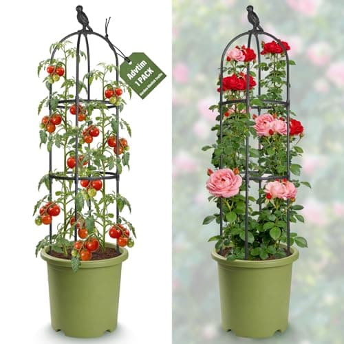 1pcs Garden Obelisk Trellis for Climbing Plants Outdoor, Tomato Cages for Garden, Metal Rustproof Plant Support Trellis for Potted Plants, Rose, Vine, Vegetable, Flower for Outdoor & Indoor Use - Image 1