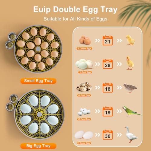 IBKINXX Incubator for Hatching Eggs-18 Egg Capacity, Automatic Egg Turner, Temperature & Humidity Control, 360° Viewing for Chicken, Duck and Quail Eggs - Thumbnail 4