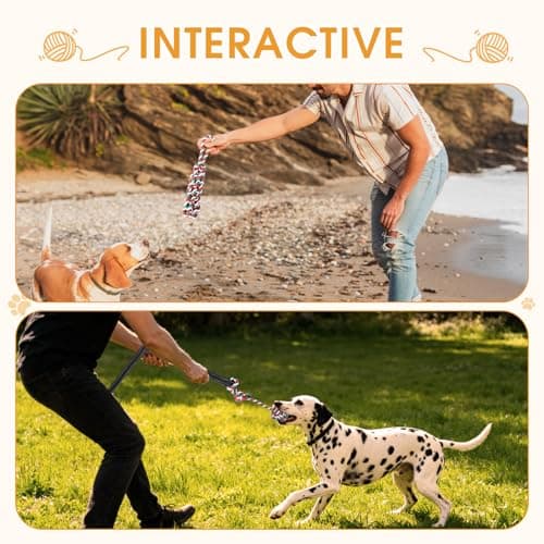 HOPET Bungee Tug Toy for Dogs,Tug of War Dog Toy for Aggressive Chewers to Keep Them Busy,Interactive Dog Rope Toy for Medium/Small Dogs,Can Used On Doors and Trees - Thumbnail 5