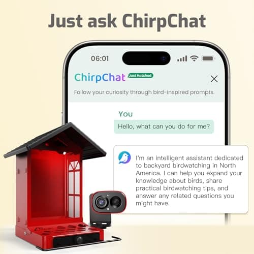 Richbird Smart Bird Feeder Camera with Vivid 2.5K Color Night Vision, Free AI Bird Identifier, Durable Squirrel-Resistant Metal Body, Solar Powered, Outdoor Gift for Mom Dad Birds Lovers - Thumbnail 4