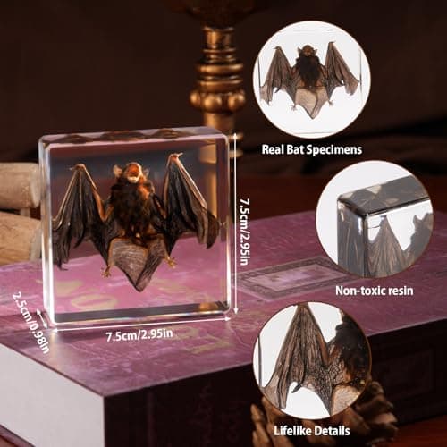 Taxidermy Bat, Real Bats Specimens High Quality Resin Animals for Science Classroom Science Education, Bat Decor Great Gift for Taxidermy, Animal Skull, Oddities, Biology (3 x 3 x 1 inch) - Thumbnail 2