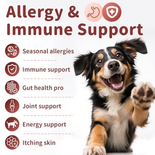 Dog Allergy Chews - Paw Licking, Seasonal Allergy & Itch Relief - Probiotics for Dogs Immune & Gut Health with Turkey Tail Mushroom, Pumpkin - Chicken Flavor - 90 Count - Thumbnail 2