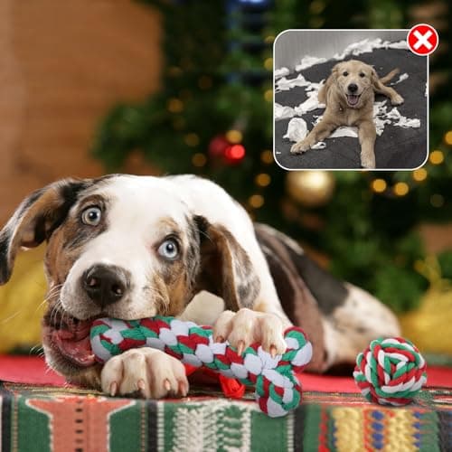 Weocar 6 Pack Christmas Dog Rope Toys, Chew Rope Toy for Puppy Small Medium Dogs, Natural Cotton Dog for Teeth Cleaning, Dog Interactive Chewing Toys - Thumbnail 4
