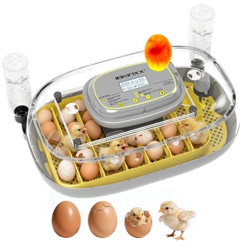 IBKINXX Incubator for Hatching Eggs-24 Egg Capacity, Automatic Egg Turner, Temperature & Humidity Control, 360° Viewing for Chicken, Duck and Quail Eggs - Image 1