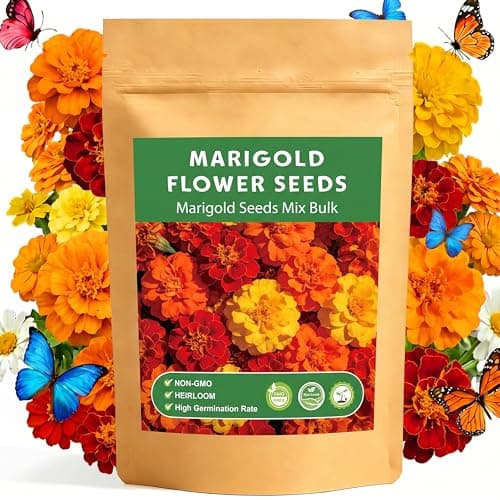 LUOJIBIE Marigold Seeds, 6,000+ Marigold Seeds for Planting Outdoor & Indoor, Flower Seeds Bulk for Gardening and Home, Non-GMO Heirloom, Easy to Grow