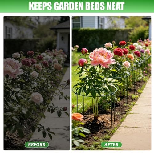 Peony Cages and Supports 8 Pack, 11.5 x 20 Inch Heavy Duty Plant Support Cage Set for Peonies, Roses & Tomatoes – Garden Stakes & Plant Cages for Outdoor Plants (8 Pack, 11.5 x 20 Inch) - Thumbnail 6