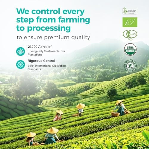 Emerail Organic Matcha Powder, USDA-Certified Pure Matcha Green Tea Powder, Premium Culinary Grade, Perfect for Lattes Smoothies and Baking, Sugar Free (70g / 2.5oz Pouch) - Thumbnail 5