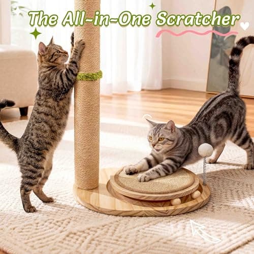Catails Cute Babys Breath Flower Cat Scratching Post, 39" Tall Cat Scratcher, Interactive Cat Toys with Ball Track & Spring Ball, Cat Scratch Post with Pad for Indoor Cats Adults and Kittens - Thumbnail 3
