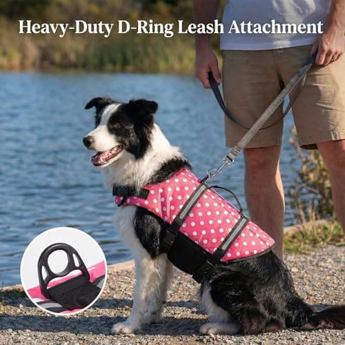 Doglay Dog Life Jacket, Dog Life Vest for Swimming Boating, Adjustable Puppy Life Jacket with Reflective Stripes, Superior Buoyancy Dog Swimming Vest for Small Medium and Large Dogs - Thumbnail 3