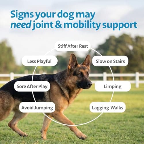 Ayourpets Hip and Joint Supplement for Dogs with Stiff Joints, Arthritis & Mobility – Natural Boswellia, Ashwagandha & Turmeric Herbal Holistic Support – Pork Flavor – 90 Count - Thumbnail 4