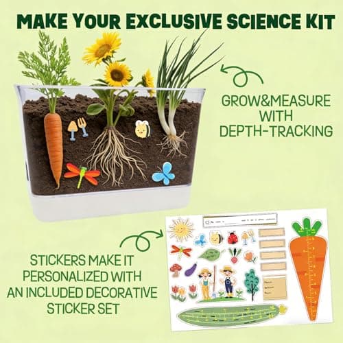 Large Root Viewer Kit for Kids STEM Science Toy Growing Kits for Ages 4, 5, 6, 7, 8, 9,10 Birthday Gifts for Boys Girls, DIY Set, Includes Strawberry, Eggplant, Dwarf Sunflower, Carrot, Pea, Scallion - Thumbnail 3
