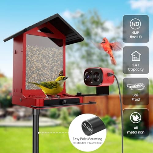 Richbird Smart Bird Feeder Camera with Vivid 2.5K Color Night Vision, Free AI Bird Identifier, Durable Squirrel-Resistant Metal Body, Solar Powered, Outdoor Gift for Mom Dad Birds Lovers - Thumbnail 3