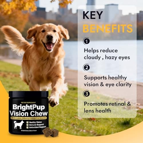 Bright Pup Dog Vision Chews - Eye Health Supplement for Dogs, Bilberry, Omega-3, Vitamins A, C & E, Supports Vision Clarity & Eye Health, Bacon Flavor, 30 Soft Chews(1PC) - Thumbnail 6