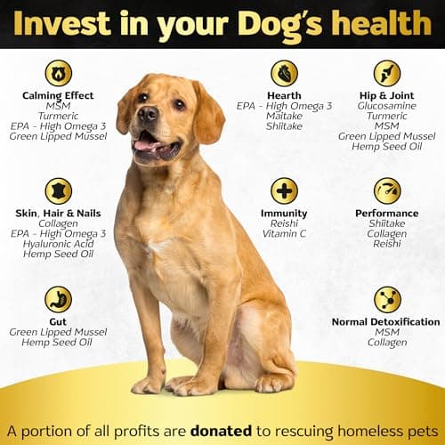 Life4Legs - Hip and Joint Chews for Dogs + Skin and Coat Supplement - Dog Joint Pain Relief Treats - Glucosamine, Chondroitin, MSM, Hemp Oil, Turmeric, Omega 3 for Dogs, Mobility Dog Health Supplies - Thumbnail 2