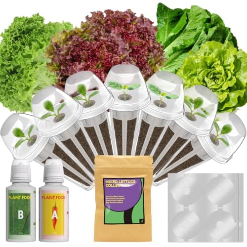 Lettuce Seed Pods for AeroGarden, Ahopegarden, iDOO, MUFGA - Compatible with All Hydroponic Indoor Garden Growing System Refill, 400+ Seeds, 7 pods - Image 1