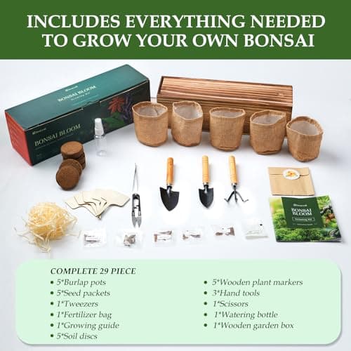 5 DIY Bonsai Tree Kit for Beginners, Complete Indoor Gardening Starter Kit with Seeds, Soils, Pots & Tools, Unique Birthday Gifts Ideas for Women, Men - Thumbnail 3