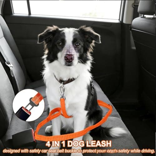 Dog Leash Heavy Duty, 4-6FT Bungee Leash Dog Seat Belt for Car With 2 Padded Handles, Strong Shock Tactical Tug Leashes Reflective Rope Lead for Medium L X-Large Dogs Walking Running Training (Orange) - Thumbnail 5