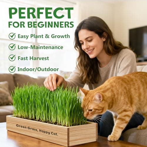 LUOJIBIE Cat Grass Kit for Indoor Cats, Cat Grass Seeds Set, Non-GMO Wheat Grass, Mother' s Day Gifts for Mom, Unique Christmas Birthday Gifts for Women Men Girl, House Warming Gifts for Cat Lover - Thumbnail 5