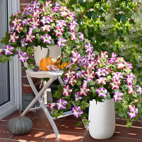 Waipfaru Artificial Outdoor Faux Plants Flowers, 2Pcs Artificial Petunias UV Resistant Realistic Faux Flowers Plants for Indoor Outdoor Planters Home Garden Yard Porch Balcony Window Decor, Fuchsia - Thumbnail 5