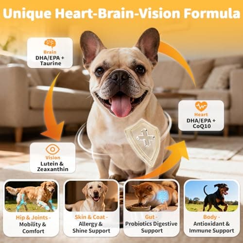 POPPAW 25-in-1 Dog Multivitamin Chews – All-in-One Daily Vitamins & Supplements for Dogs, Joint Support with Glucosamine MSM, Omega-3 Skin & Coat, Gut, Heart & Brain, All Breeds & Ages, Beef, 90Ct - Thumbnail 2