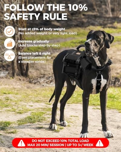 LISPOO Weighted Dog Vest & Collar Set with Pockets, Includes 4 Removable 0.88 lb Weight Blocks, Dog Training Gear for Exercise Walking & Conditioning, Muscle Building with Medium & Large Dogs (M) - Thumbnail 4