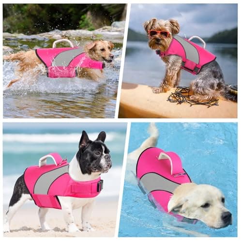 Doglay Dog Life Vest, Dog Life Jacket with Double Rescue Handles and Reflective Stripes, Adjustable High Visibility Swimming Safety Vest, Pet Life Preserver Lifesaver for Small Medium Large Dogs - Thumbnail 4