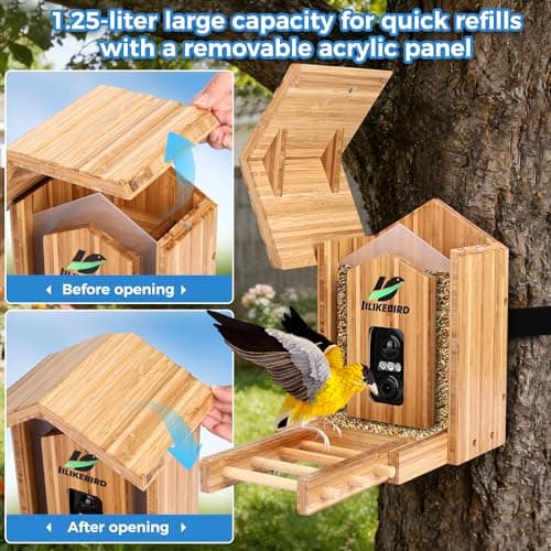 Bamboo Smart Bird Feeder with 4K Camera, AI Bird Identification 10000+ Species, Solar Powered & USB-C Charging, IP65 Weatherproof, 1.25L Speed Capacity for Outdoor Garden (Wall Mount/Pole) (Large) - Thumbnail 5