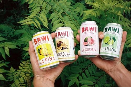 Bawi Sparkling Agua Fresca, 4 Pack Sparkling Water, Plant-Based, Low Calorie, Less Sugar, Mexican Drink Made in the USA (4 Count, Variety) - Thumbnail 2