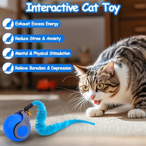 2PCS Interactive Cat Ball Toy, Self Rolling Ball with Cover Anti-Scratch for Bored Indoor Cat Chasing, Obstacle Avoidance Smart Cat Toys for Enrichment, Motion Activated Toys to Keep Them Busy - Thumbnail 6