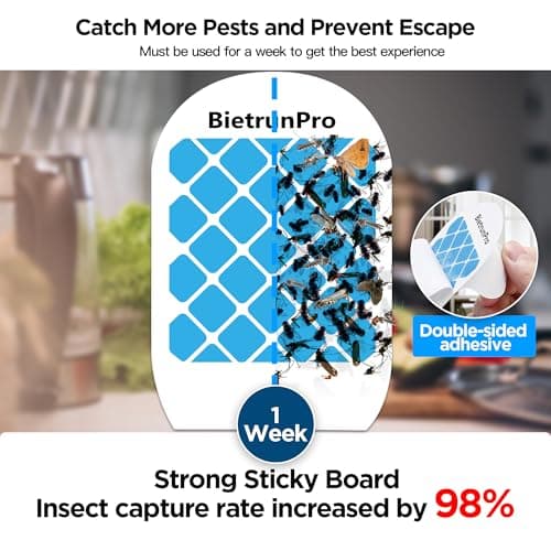 Indoor Fruit Fly & Gnat Traps Plug-in - UV/Blue Light Insect Trap with 2 Devices+6 Refills, Safe & Odorless Flying Insect Catcher for House/Kitchen/Office - Get Rid of Mosquitoes, Moths, Gnats - Thumbnail 3