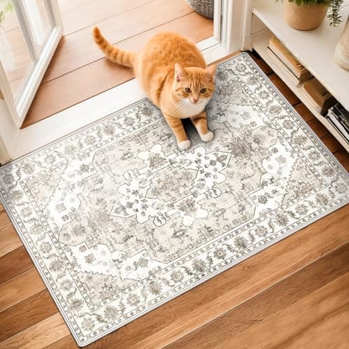 Roseek Small Rugs for Bedroom, 2x3 Washable Rug Non Slip, Entrance Rug, Boho Kitchen Throw Entryway Rugs Indoor Door Mat, Low Pile Distressed Carpet for Hallways, Entry - Thumbnail 6