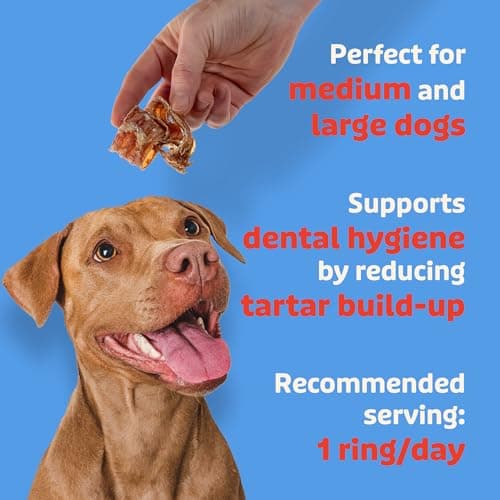 Lovie Beef Lung Dog Treats - Dehydrated Air Dried Soft Bites, Single Ingredient, Protein Rich, 16 oz (Beef Rings) - Thumbnail 3