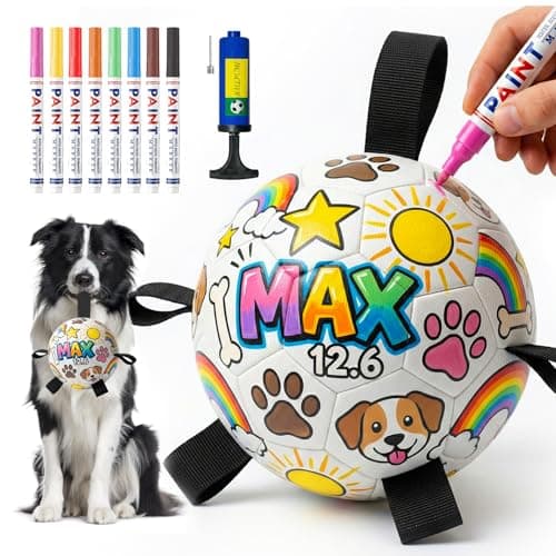 HETOO Dog Soccer Ball with Straps, DIY Paintable Dog Toy Ball Kit with 8 Color Markers,Personalized Interactive Dog Toys for Small Medium Dogs Puppies,6 Inch Birthday Gift Pet Toy - Image 1