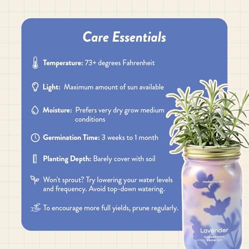 Modern Sprout Mason Garden Jar - Self-Watering Hydroponics Growing System Kit with Organic Herb Seeds - Jar Planter for Indoor Herb Garden - Seed Starter Kit - Home Decor & Gifting - Lavender - Thumbnail 5
