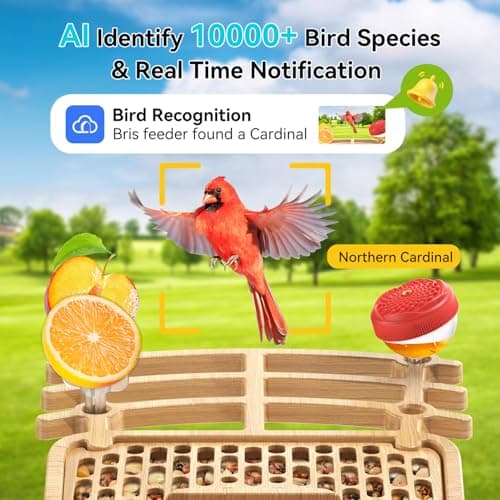 AiQInu Bird Feeder with Camera Solar Powered 4K QHD Live Video Camera AI Recognition Bird House with Camera Auto Record Birds Watching Camera Outdoor Live Stream Birds Lover Gift - Thumbnail 5