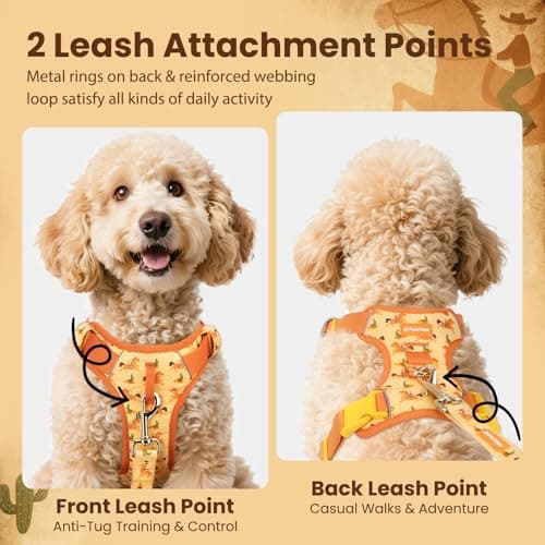 Escape Proof Western Cowboy No Pull Dog Harness, Soft Air Mesh Vest with Front & Back Clips, Adjustable Fit, Includes QR ID Tag for Safe Walking & Running, Orange, Small - Thumbnail 3