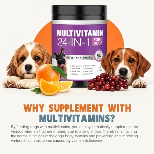 24-in-1 Dog Vitamins and Supplements 200 Ct Dogs Multivitamin Chewable Contain Chondroitin Probiotics Omega-3 Glucosamine for Dogs Skin Coat Heart Joint Gut Liver Brain Eyes Immune Support - Chicken - Thumbnail 4