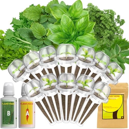 Lyko Gourmet Herb Seed Pod Kit for AeroGarden, iDoo, Ahopegarden, GARDENCUBE, 12 Pods with Basil, Parsley, Mint, Cilantro, Licorice, Hydroponics Growing System Kits for Indoor Garden