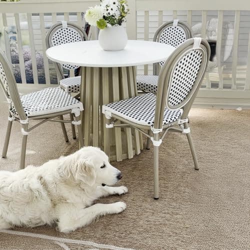 PURPLE LEAF Patio Dining Chair Set of 2 Outdoor French Aluminium Frame in Champagne Finish with Sky Blue & White Woven Rattan for Indoor Kitchen Deck Bistros Cafe Restaurant - Image 1
