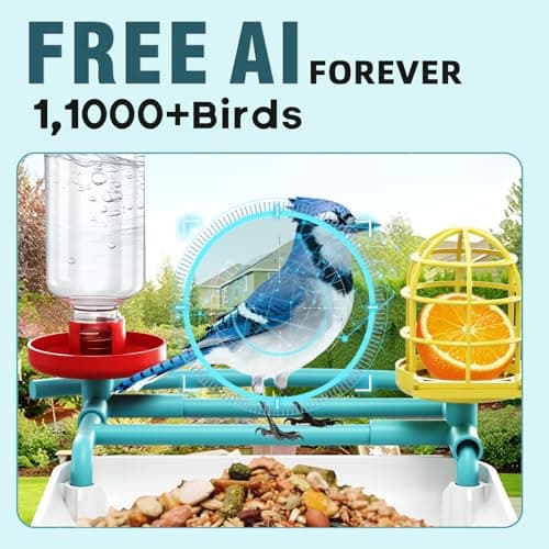 BROAIMX Bird Feeder with Camera- Free AI Forever for 1,1000+ Species Identification, 2K HD & Full Color Night Vision, Solar Powered Wireless Outdoor, Includes 64GB TF Card, Two-Way Audio, App Alerts - Thumbnail 2