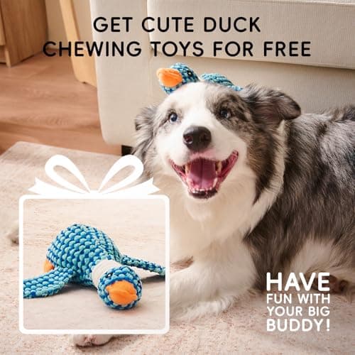 Homemate Dog Bed Medium Size Dog 28x23 inch with Orthopedic Foam Waterproof Outdoor Pet Cat Bed Sofa Supplies with Toy Dogs Crate Pad Couch with Removable Washable Cover & Non-Slip Botton Light Grey - Thumbnail 2