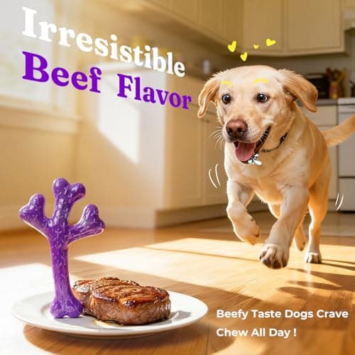 Frienhund 2 Pack Indestructible Dog Chew Toys for Aggressive Chewers - XL Textured Cactus with Grooves for Peanut Butter & Yogurt, Beef Nylon Bones for Large Dogs 20-90 lbs, Easy Chew & Long Lasting - Thumbnail 6