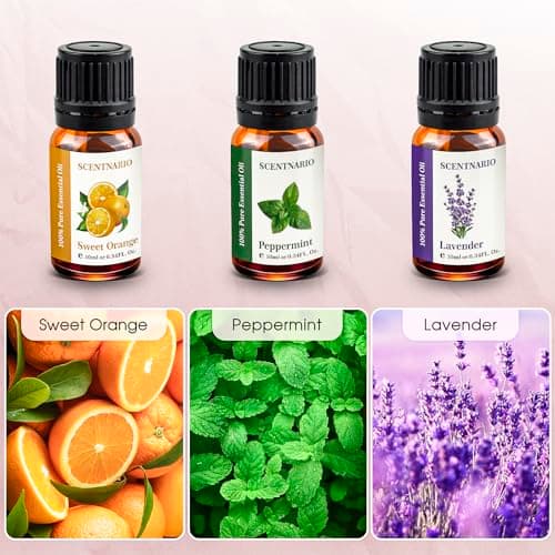 Essential Oils Set - 100% Pure & Natural Organic Essential Oil Gift Set (10ml/0.34fl.oz) Therapeutic Grade, Great for use in Aromatherapy, Diffuser, Humidifier, DIY Candle, Soap and Bath Bombs Making - Thumbnail 3