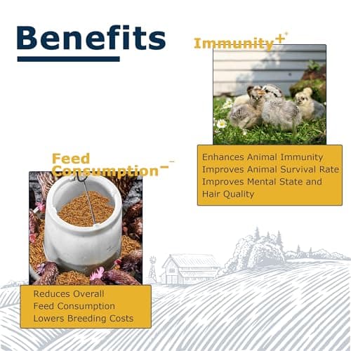 HARTOMPET Chicken Feed Dried Black Soldier Fly Larvae, 10LB Natural Poultry Treat, 85X Calcium vs Mealworms for Laying & Molting Hens, Nutrient-Rich Feed for Ducks & Wild Birds, Reptiles - Thumbnail 5
