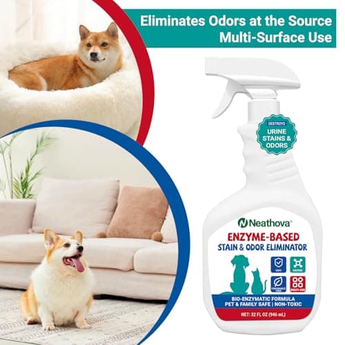 Neathova Stain & Strong Odor Eliminator, Enzyme Cleaner, Pet Odor Eliminator for Home - Carpet Stain Remover for Cats & Dog Pee - Urine Destroyer - Carpet Cleaner Spray Clear (Unscented) - Thumbnail 5