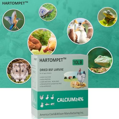 HARTOMPET Better Than Dried Mealworms for Chickens 10 lbs - 85X Calcium Than MealWorms - Non-GMO Chicken Feed Additive & Molting Supplement - black soldier fly larvae Treats for Hens, Ducks, Wild Bird - Thumbnail 5